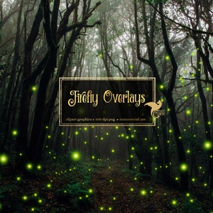 May include: A dark forest scene with a path leading through the trees.  The forest is lit by glowing green fireflies.  A gold frame with the text "Firefly Overlays" is in the centre of the image.  The text below the frame reads "clipart graphics - 300 dpi png - commercial use".