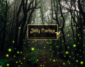 Firefly overlays, digital photography overlays, png magic wedding lights, green, pink, blue, purple floating fairy lights, instant download