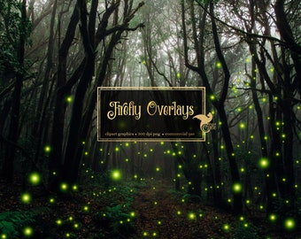 Firefly Light Overlays, Magic Wedding Photography (Digital Download)