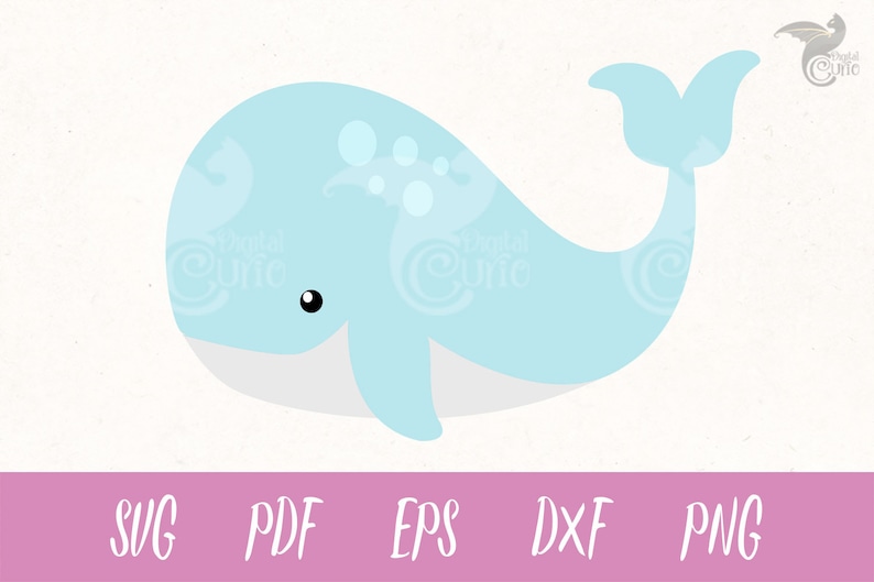 Download Baby Whale SVG whale svg whale svg whale clipart Cricut | Etsy