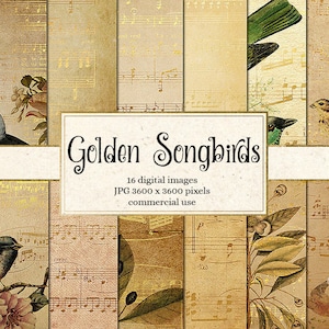 Gold Singvogel digitales Papier, Vintage Scrapbook, antike Noten digitales Papier Pack, Decoupage, Vogel Hintergründe Gold Collage Song Vögel