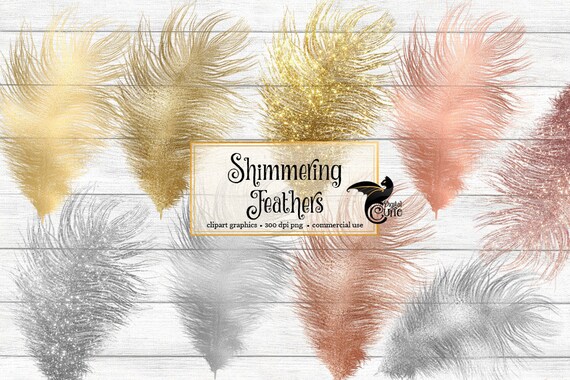 Rose Gold Feathers Clipart By Digital Curio