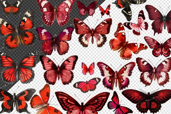 Vintage Red Butterflies, Vintage Butterfly Clipart, Antique
