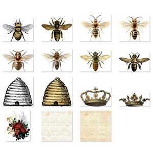 May include: A collection of vintage bee illustrations, including bees, honeycombs, and floral designs. The images are in a vintage style with a muted colour palette.