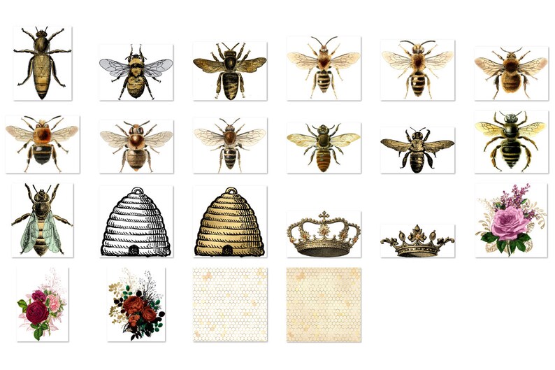 May include: A collection of vintage bee illustrations, including bees, honeycombs, and floral designs. The images are in a vintage style with a muted colour palette.