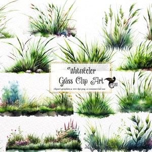 Watercolor Grass Clipart - spring tufts of grass botanical PNG format instant download for commercial use