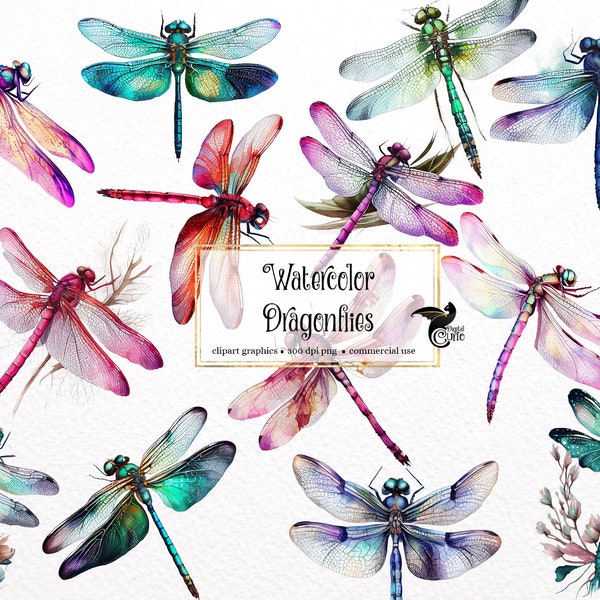 Watercolor Dragonflies Clipart, painted dragonfly clipart, insect illustrations, PNG graphics, scrapbook embellishments commercial use