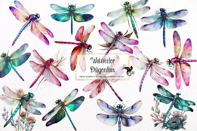 May include: Watercolor clipart of 12 colorful dragonflies with intricate details. The dragonflies are in various poses and have a variety of colors, including pink, blue, green, and purple.