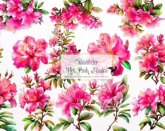 Imágenes prediseñadas de azaleas rosa intenso en acuarela – Ramos florales (PNG, descarga digital)