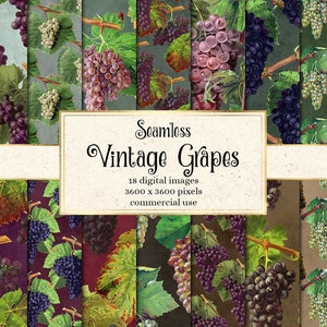 Vintage Grapes Digital Paper, seamless antique wine grape illustrations on printable scrapbook paper backgrounds for commercial use