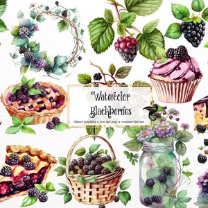 Watercolor Blackberries Clipart - digital png blackberry pie graphics for instant download commercial use