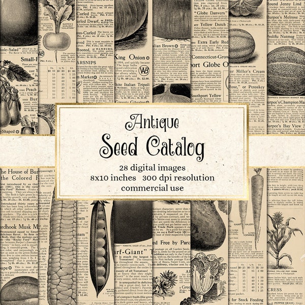 Antique Seed Catalog Digital Paper, 8x10 printable sheets with vintage vegetables instant download commercial use