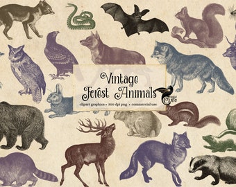 May include: Vintage illustrations of forest animals, including a fox, owl, bear, deer, squirrel, rabbit, bat, snake, and more. The illustrations are in a variety of colors, including brown, green, purple, and blue. The illustrations are set against a beige background. The text "Vintage Forest Animals" is at the bottom of the image.