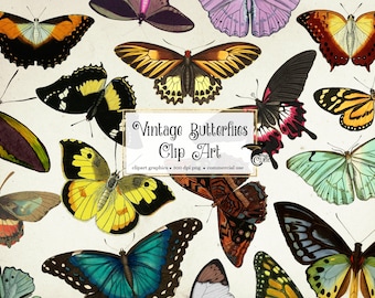 60 Vintage Butterflies Clipart - antique digital butterfly illustrations in png clip art format instant download for commercial use