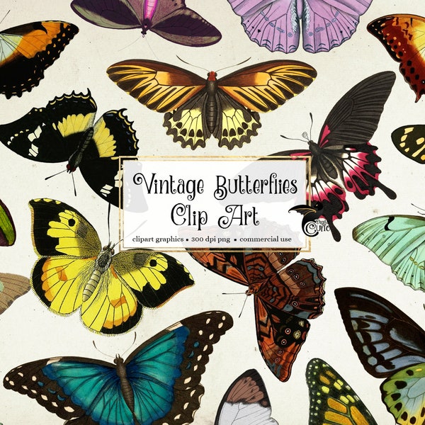 60 Vintage Butterflies Clipart - antique digital butterfly illustrations in png clip art format instant download for commercial use