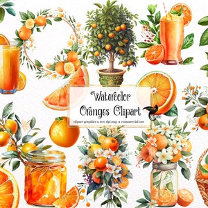 Watercolor Oranges Clipart - digital png citrus, graphics for instant download commercial use