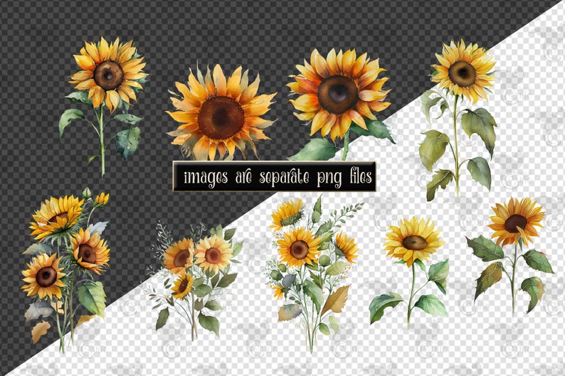 Watercolor Sunflower Clipart – Fall Floral Bouquets (PNG, Digital Download) image 4
