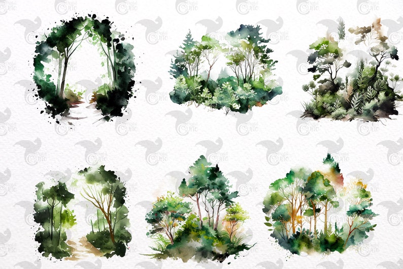 May include: Six watercolor illustrations of different forest scenes. Each illustration features a variety of green trees and foliage, with some scenes including a path or a clearing. The illustrations are painted in a loose, expressive style, with soft edges and subtle color variations.
