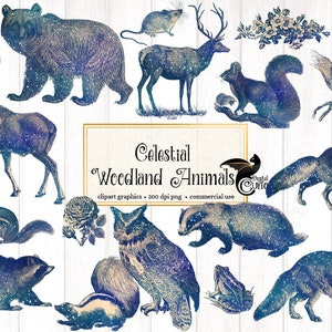 Celestial Woodland Animals Clipart, graphiques d'animaux de forêt vintage, clipart de nuit étoilée numérique avec renard, raton laveur, loup, hiboux, fleurs