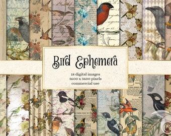 Vintage Bird Ephemera Digital Paper, Floral Scrapbook (Digital Download)