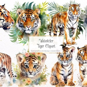 Acuarela Tiger Clipart - lindos animales de la selva africana formato PNG descarga instantánea para uso comercial