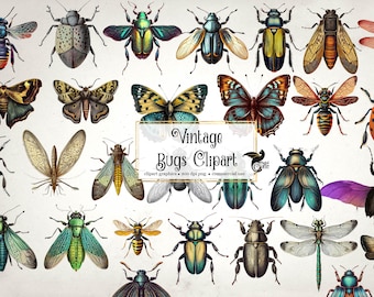 Vintage Bugs clipart, antique insect clip art scientific illustrations, scrapbooking natural history PNG graphics, curiosities