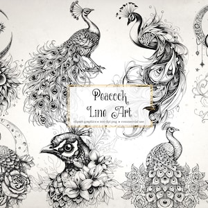 Peacock Line Art Clipart - paons floraux clip art et feuilles de collage pour l’art modifié ou les journaux indésirables téléchargement instantané utilisation commerciale