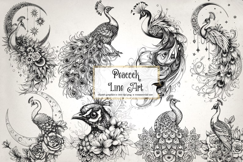 Peacock Line Art Clipart – Floral Designs, Collage Sheets (digital ...