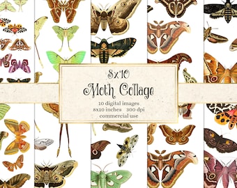 Moth Collage Digital Paper, 8x10 printable sheets with vintage moths instant download commercial use