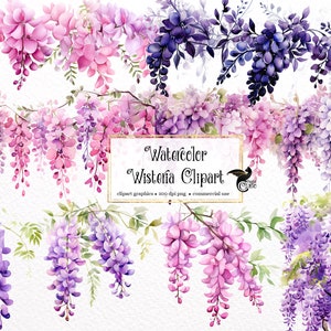 Aquarell Glyzinien Clipart - digitale Clip Art Grafik von Aquarell Ranken und Blumen zur kommerziellen Nutzung
