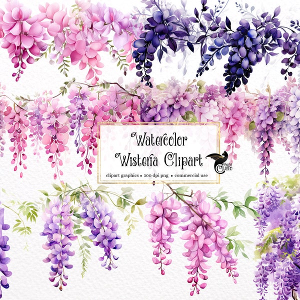 Aquarelle Wisteria Clipart - graphiques numériques d'art de clip des vignes et des fleurs d'aquarelle pour l'usage commercial