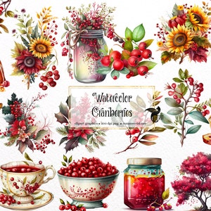 Aquarela Cranberries Clipart - gráficos digitais png cranberry para download instantâneo para uso comercial
