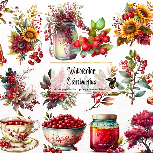 Watercolor Cranberries Clipart - digital png cranberry graphics for instant download commercial use