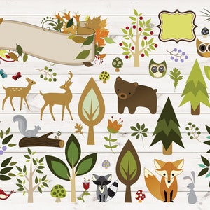 Woodland Forest Animals Clipart, PNG, Vector Clipart, Woodland Clip Art, Forest Clip Art, Cerf, Renard, Raton laveur hiboux ours, lapin, oiseaux