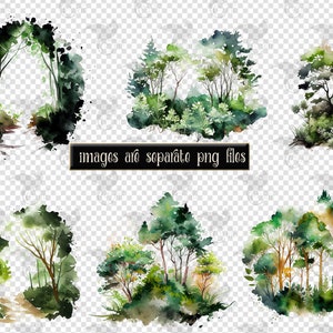 May include: Six watercolor illustrations of different forest scenes with green trees and foliage. The images are on a transparent background.