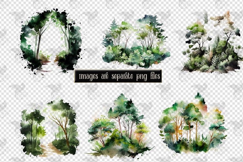 May include: Six watercolor illustrations of different forest scenes with green trees and foliage. The images are on a transparent background.