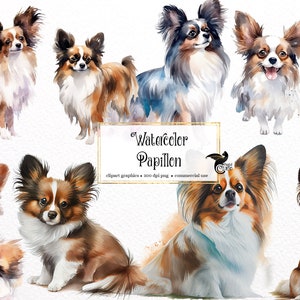 Acuarela Papillon Clipart - lindos perros y cachorros formato PNG descarga instantánea para uso comercial