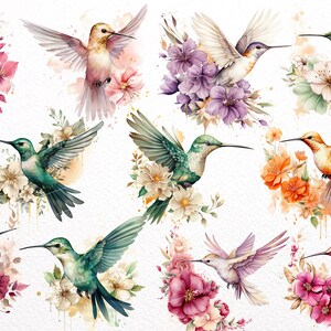 May include: Watercolour illustration of 10 hummingbirds with floral arrangements. The hummingbirds are in various colours, including green, blue, purple, and orange. The flowers are in shades of pink, purple, orange, and white.
