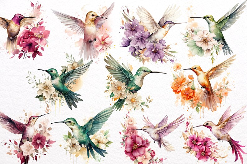 May include: Watercolour illustration of 10 hummingbirds with floral arrangements. The hummingbirds are in various colours, including green, blue, purple, and orange. The flowers are in shades of pink, purple, orange, and white.