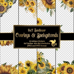 Superposiciones florales de girasol de 5x7 para invitaciones, planificadores, páginas de revistas, imágenes prediseñadas de flores vintage, marcos de boda, superposiciones de imágenes prediseñadas