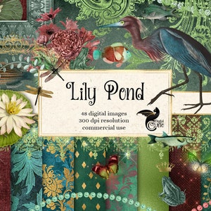 Kit de scrapbooking digital Lily Pond, clipart de libélula, papel digital de borboleta, molduras, peixe, pérolas, renda de diamante, sobreposições digitais png