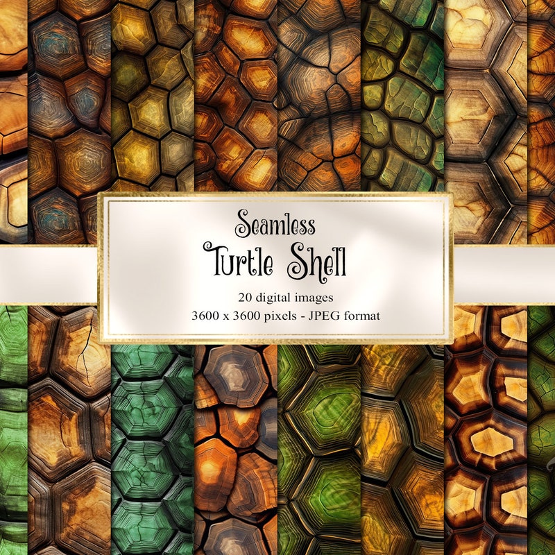 Tuturtle Shell Design Turtle Shell - Etsy
