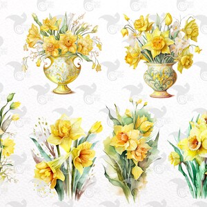 Watercolor Daffodil Clipart - Spring Flowers in PNG Format Instant ...