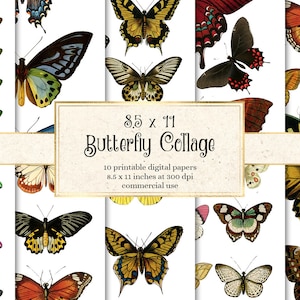 Butterfly Collage Digital Paper, 8.5x11 printable sheets with vintage butterflies instant download commercial use