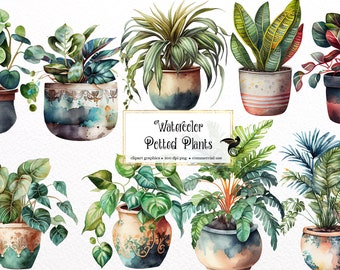 Watercolor Potted Plants Clipart - house plant PNG format instant download for commercial use