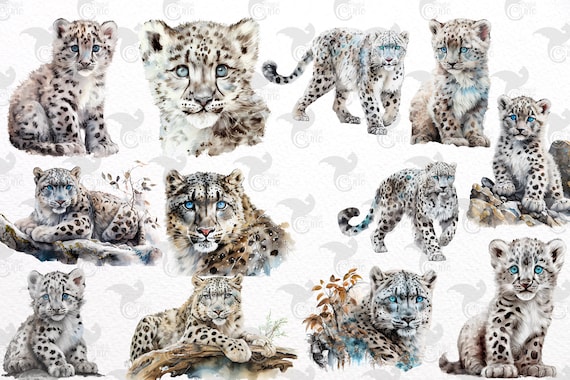 水彩画のユキヒョウのクリップアート - かわいい森の動物、PNG 形式で