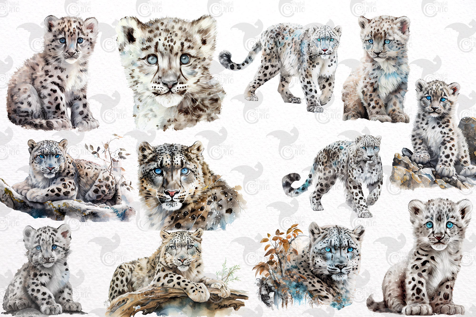 作家様 ユキヒョウ 雪豹 ヒョウ 絵画 水彩画 手描きイラスト 原画 一点もの maxresdefault.jpg