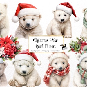 Clipart de ursos polares de Natal - animais fofos com buquês de flores de férias em formato PNG para uso comercial