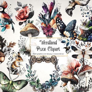 May include: Watercolor woodland-themed clipart featuring a variety of elements, including a bird, rose, mushrooms, butterflies, crystals, a squirrel, and fairies. The text "Woodland Pixie Clipart" is displayed on a decorative frame.