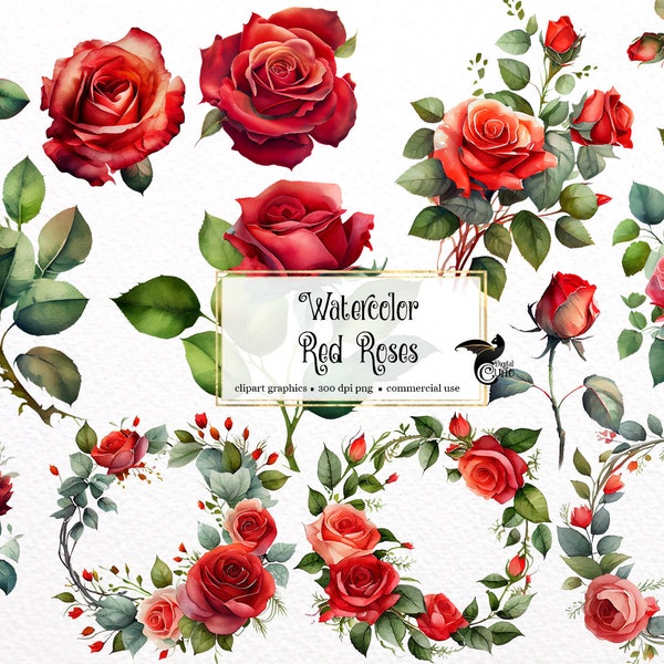 Watercolor Red Roses Clipart - roses and leaves in PNG format instant download for commercial use